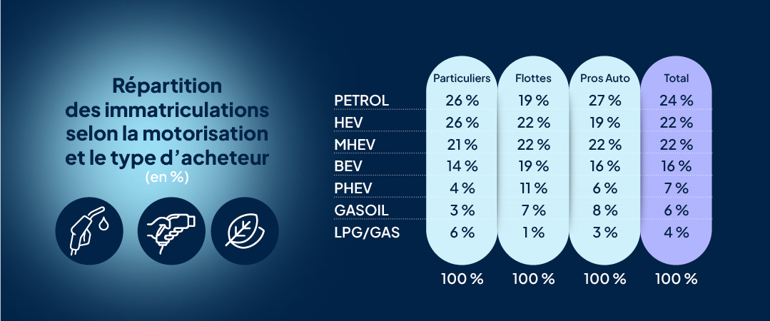 aaa_data_infographies_nl_82_3-2